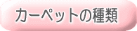 �J�[�y�b�g�̎��