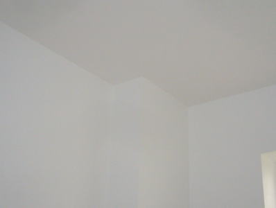 壁・天井をペット対応の壁紙に張替